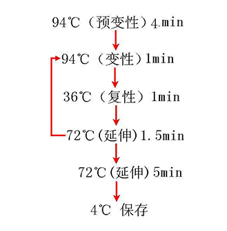 中国·99905银河(股份)有限公司-官方网站